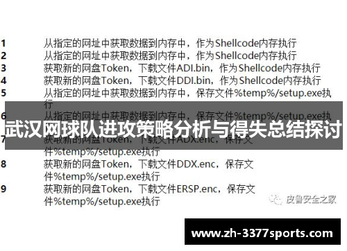 武汉网球队进攻策略分析与得失总结探讨