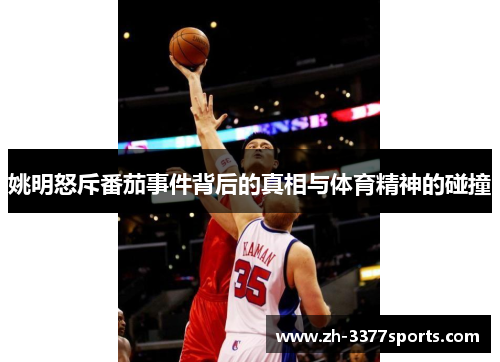 姚明怒斥番茄事件背后的真相与体育精神的碰撞