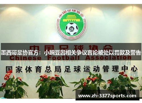 墨西哥足协官方：小豌豆因相关争议言论被处以罚款及警告
